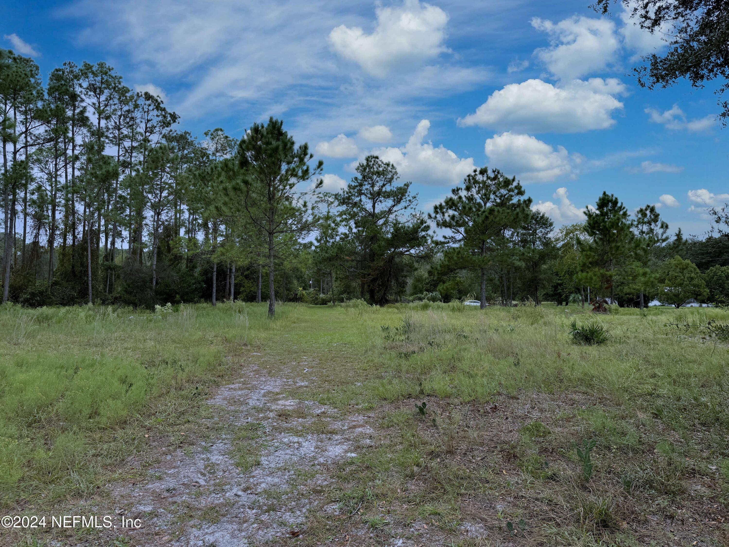 114 Osceola Road Georgetown, FL 32139 - Photo 13 of 22 2