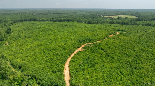 a view of a lush green outdoor space with a lake view