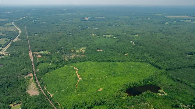 a view of a green field with lots of bushes