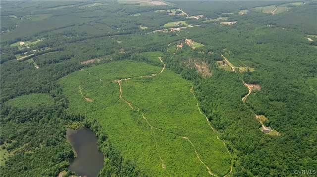 a view of a green field with lots of bushes