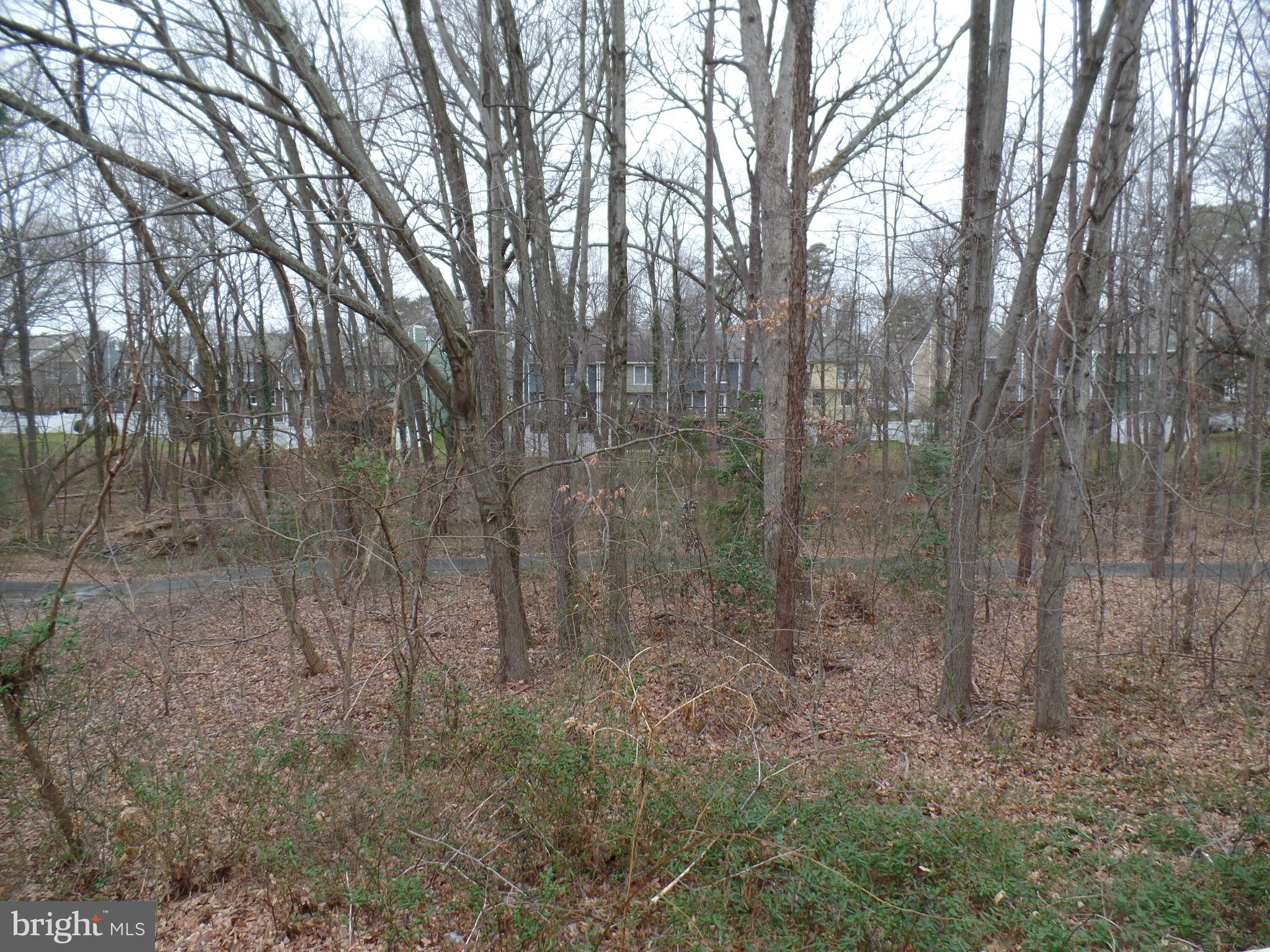 1549 Autumn Ridge Circle Reston, VA 20194 - Photo 25 of 32