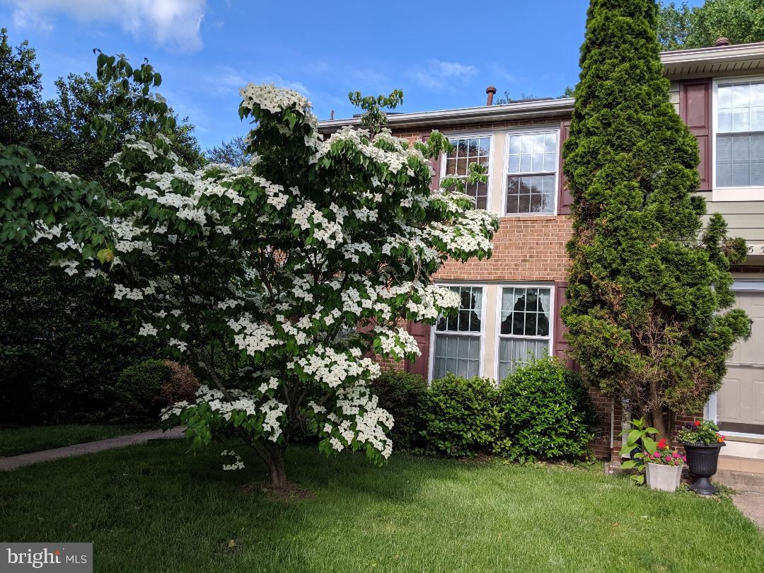 1549 Autumn Ridge Circle Reston, VA 20194 - Photo 31 of 32 Spring Time in Bloom