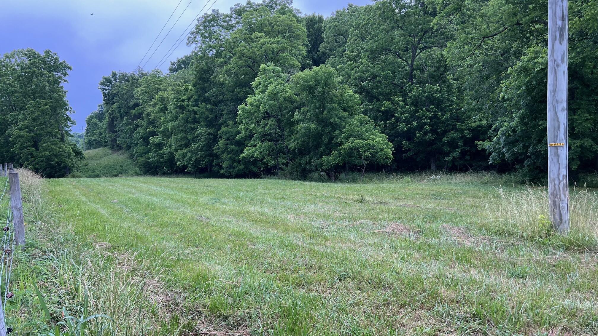 10885 B Napoleon-Zion Station Road Dry Ridge, KY 41035 - Photo 9 of 43