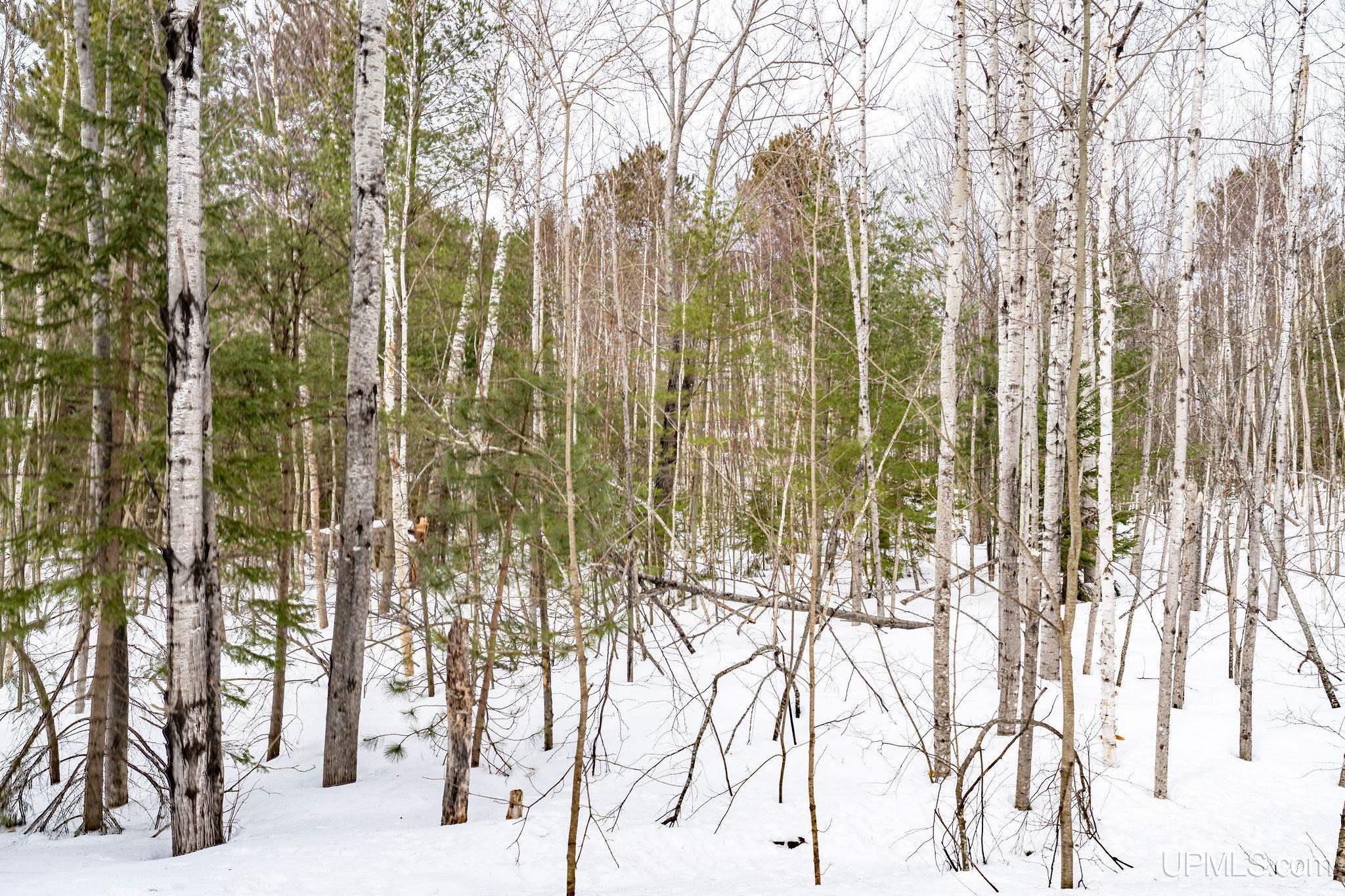 Tbd South Willow Road Marquette, MI 49855 - Photo 5 of 10
