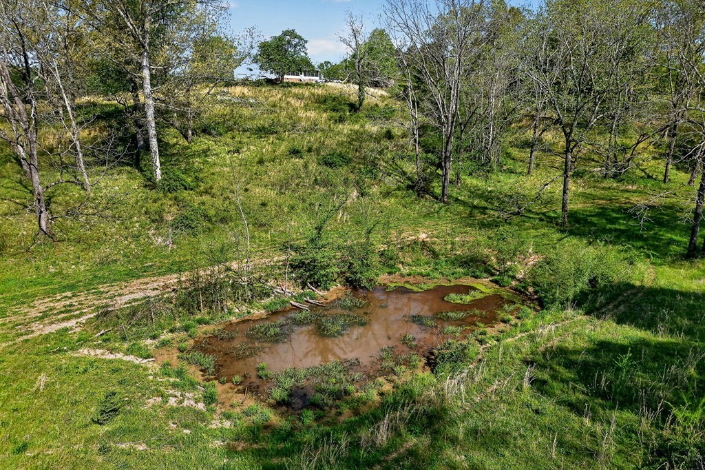 515 Jericho Road Quebeck, TN 38579 - Photo 19 of 60