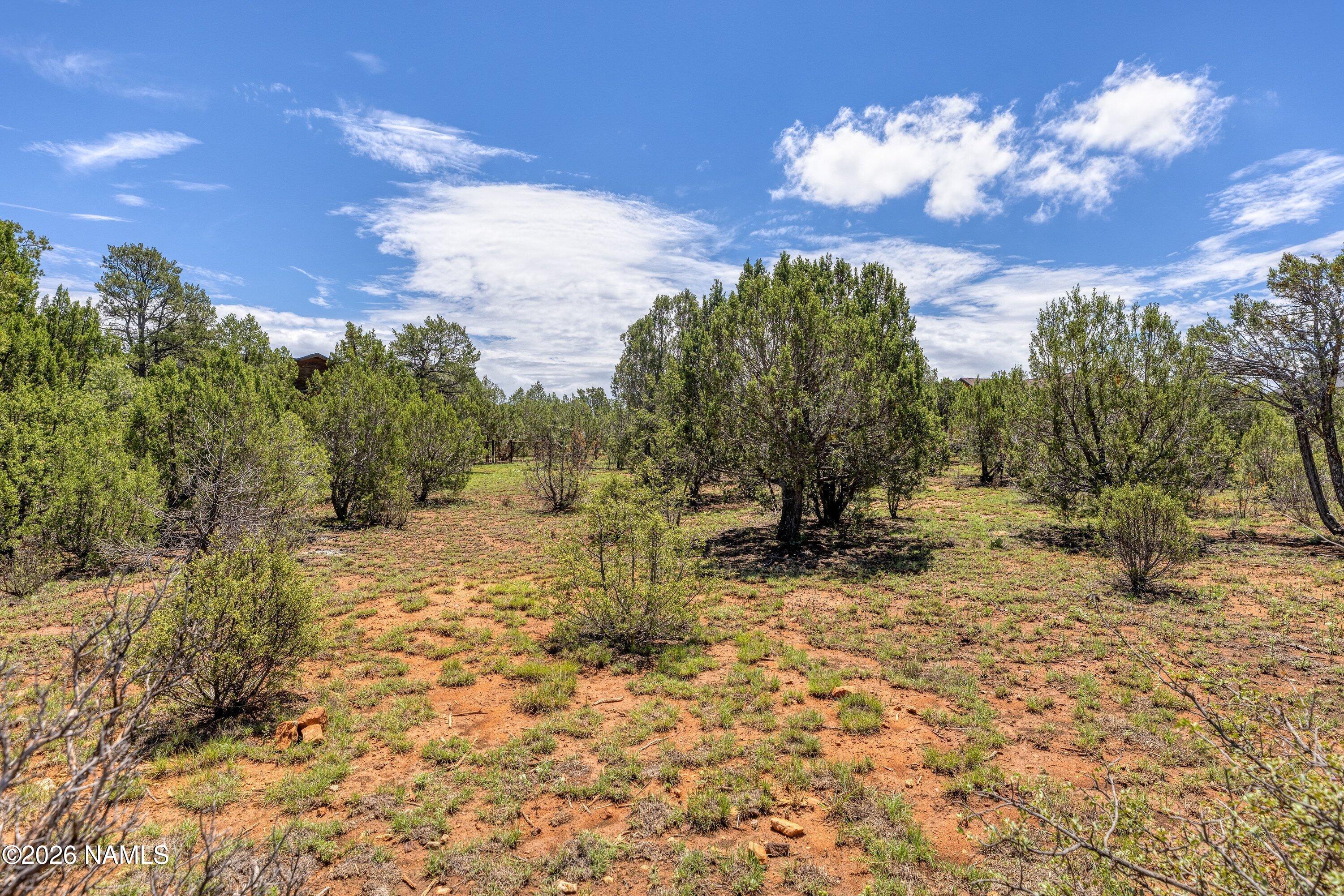 2277 Sunrise Road Overgaard, AZ 85933 - Photo 7 of 14 2277 Sunrise Rd (7)