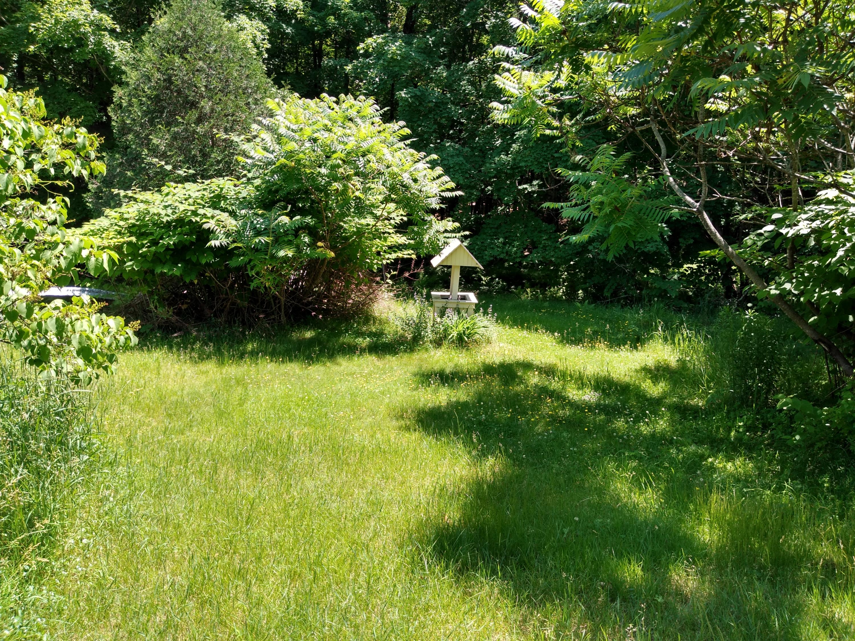 1064 Maplewood Road West Newfield, ME 04095 - Photo 10 of 21 IMG_20190627_130832451_HDR