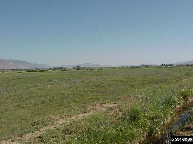 0 North Smith Gage Road Smith, NV 89430 - Photo 1 of 1 Photo 1
