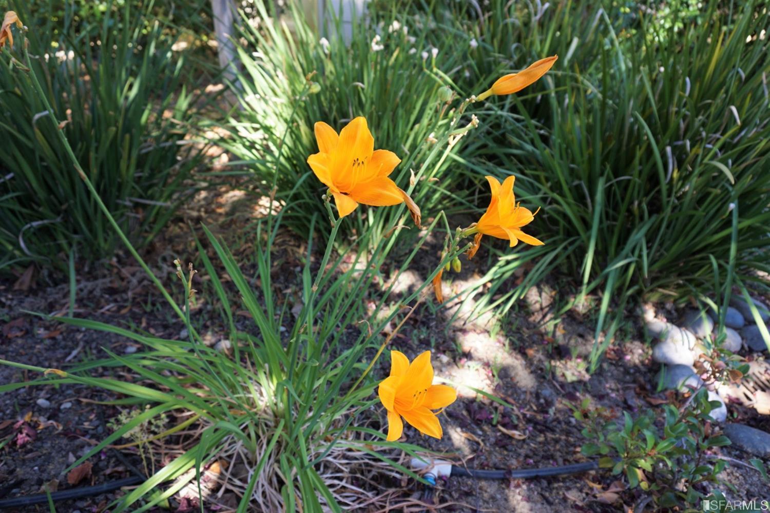 666 Encore Way San Jose, CA 95134 - Photo 48 of 51