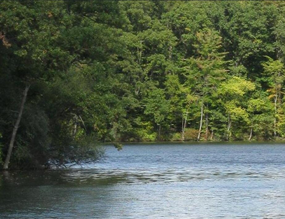 4435 Central Street Columbiaville, MI 48421 - Photo 44 of 65 Screenshot_20260105_215837_Google