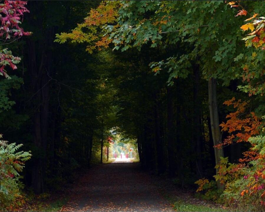 4435 Central Street Columbiaville, MI 48421 - Photo 48 of 65 Screenshot_20260105_215505_Google