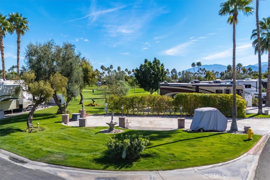 69411 Ramon Road Cathedral City, CA 92234 - Photo 5 of 17 a view of a garden with a bench and some trees