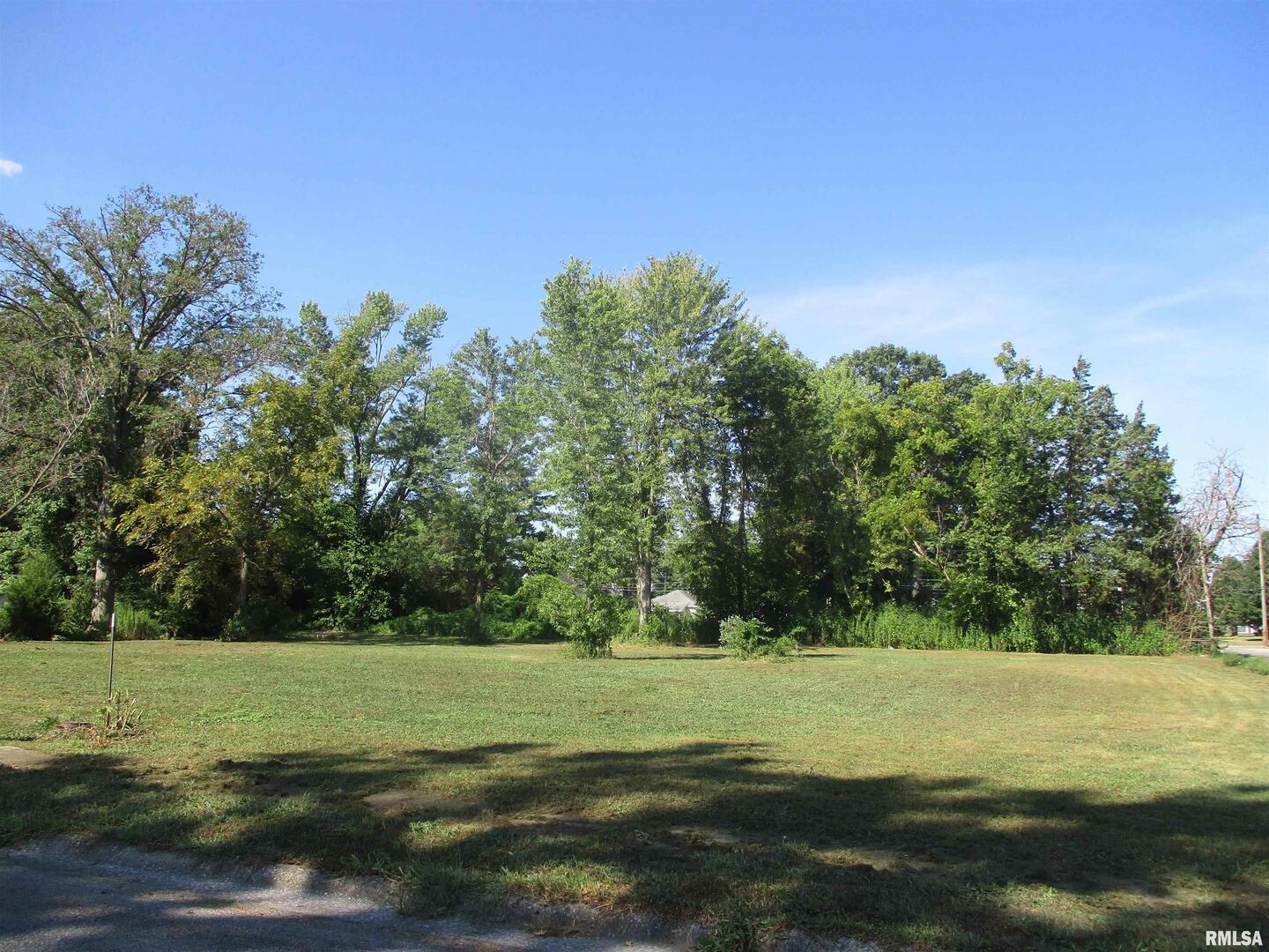 0 North Buchanan Street Benton, IL 62812 - Photo 6 of 23