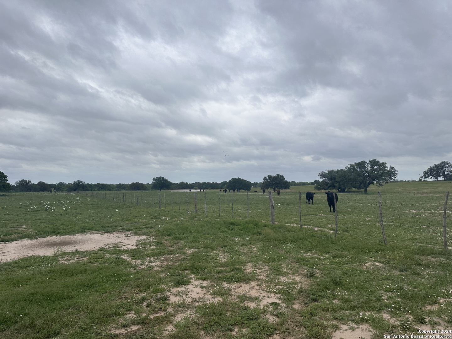 Tbd (tr 4 West Gates Valley Road Poteet, TX 78065 - Photo 5 of 7