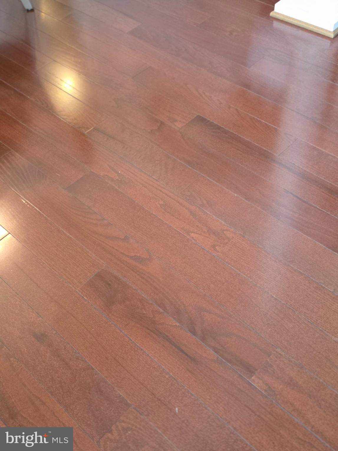 1420 Bollinger Road Westminster, MD 21157 - Photo 55 of 88 Hardwood Floors