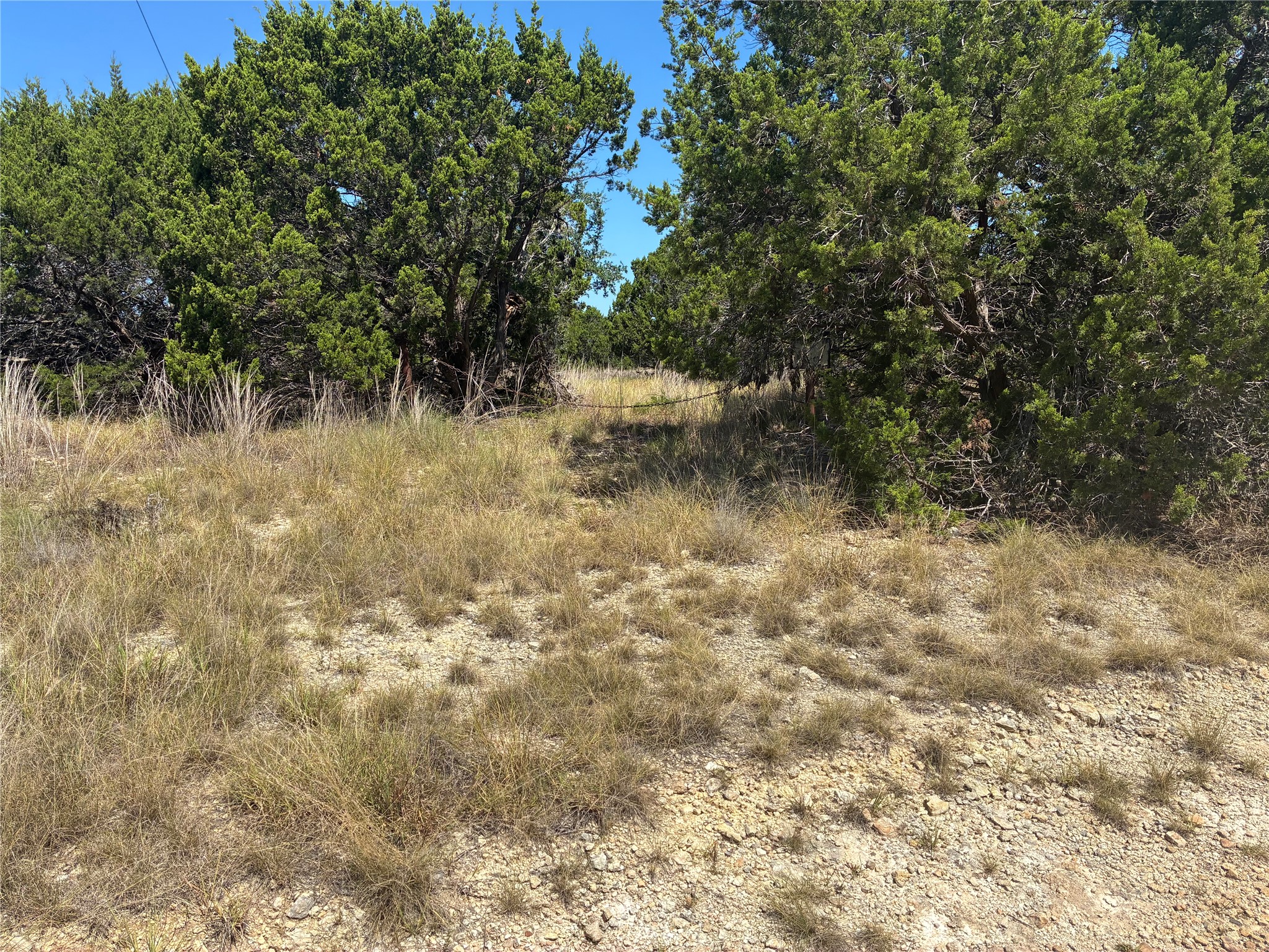 317 West Headwaters Ranch Road Kendalia, TX 78027 - Photo 5 of 8 Mature trees frame a natural clearing, ideal for creating a custom homesite.