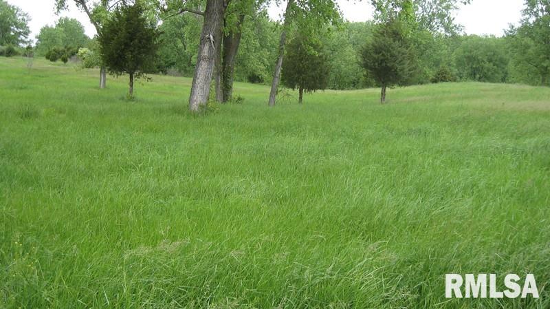 1319-2d Kathleen Road Du Quoin, IL 62832 - Photo 1 of 7 Gallery Image 1