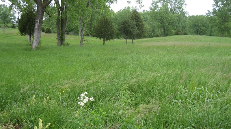 1319-2d Kathleen Road Du Quoin, IL 62832 - Photo 7 of 7 Gallery Image 7