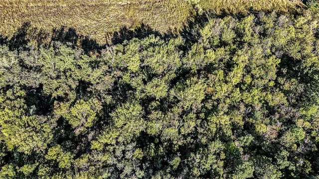 $139,000 | 709 Lake City Buckner Road, Independence, MO 64016