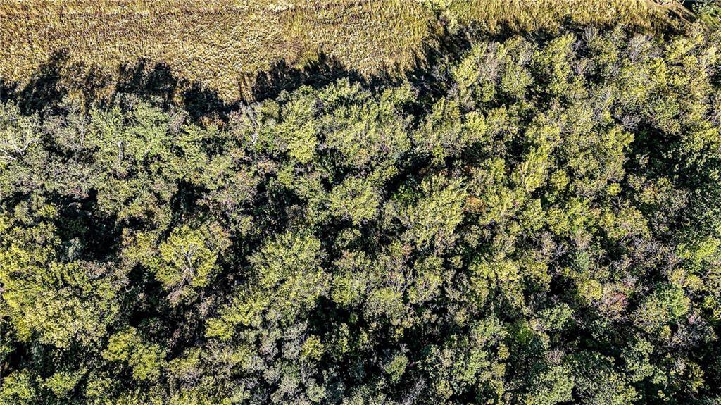 709 Lake City Buckner Road Independence, MO 64016 - Photo 9 of 16