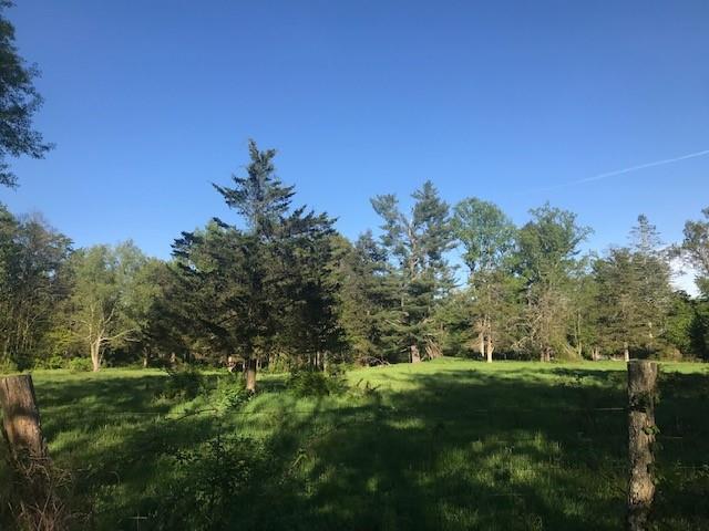 144 Red Top Road Wallkill, NY 12589 - Photo 1 of 1 a view of a grassy field with trees