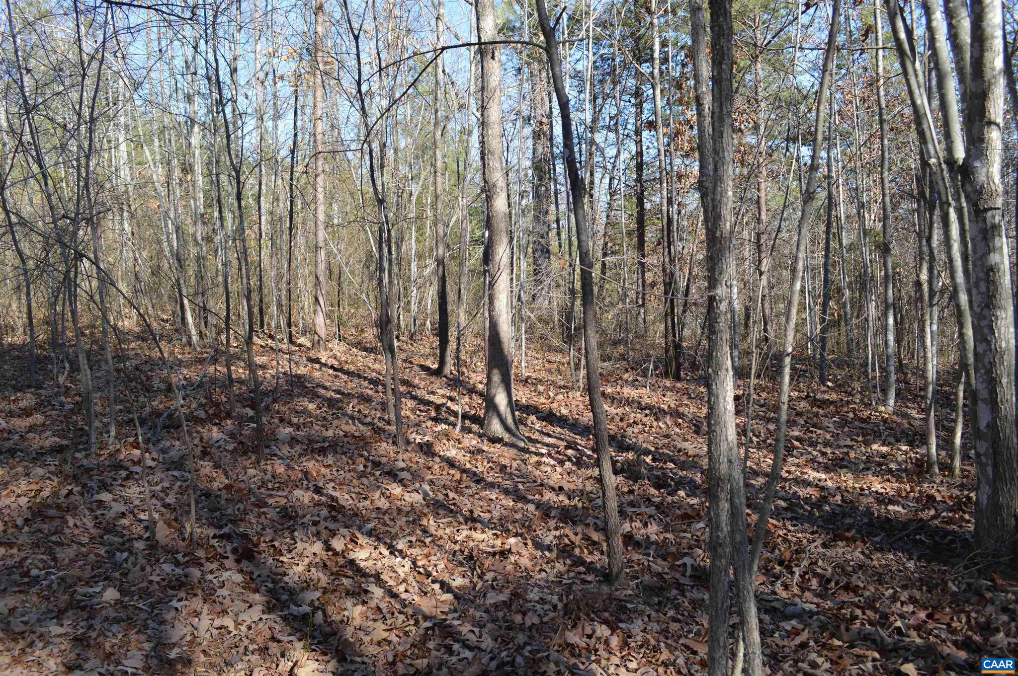 Frays Ridge, Unit 37 Earlysville, VA 22936 - Photo 17 of 18