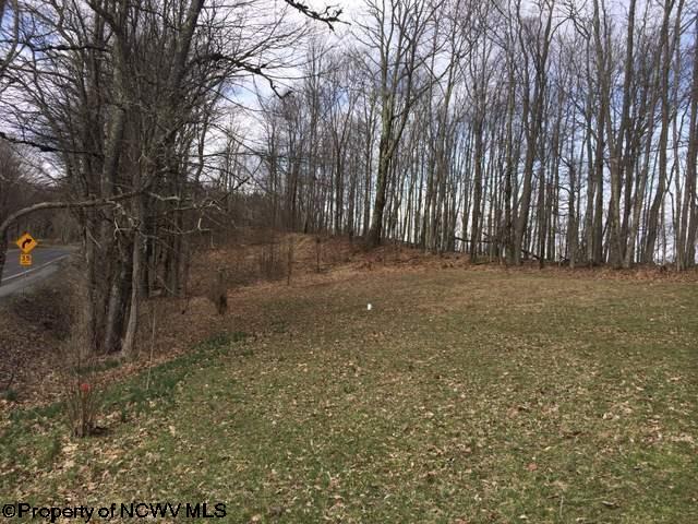 1 Rr Parsons, WV 26287 - Photo 18 of 20 Gallery Image 18