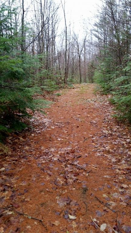 Tbd Staples Pond Road Temple, ME 04984 - Photo 4 of 6 Photo