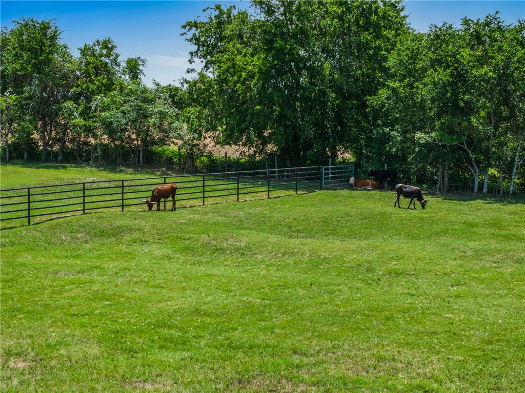 1725 Stokes Road New Ulm, TX 78950 - Photo 5 of 50 View of yard featuring a rural view
