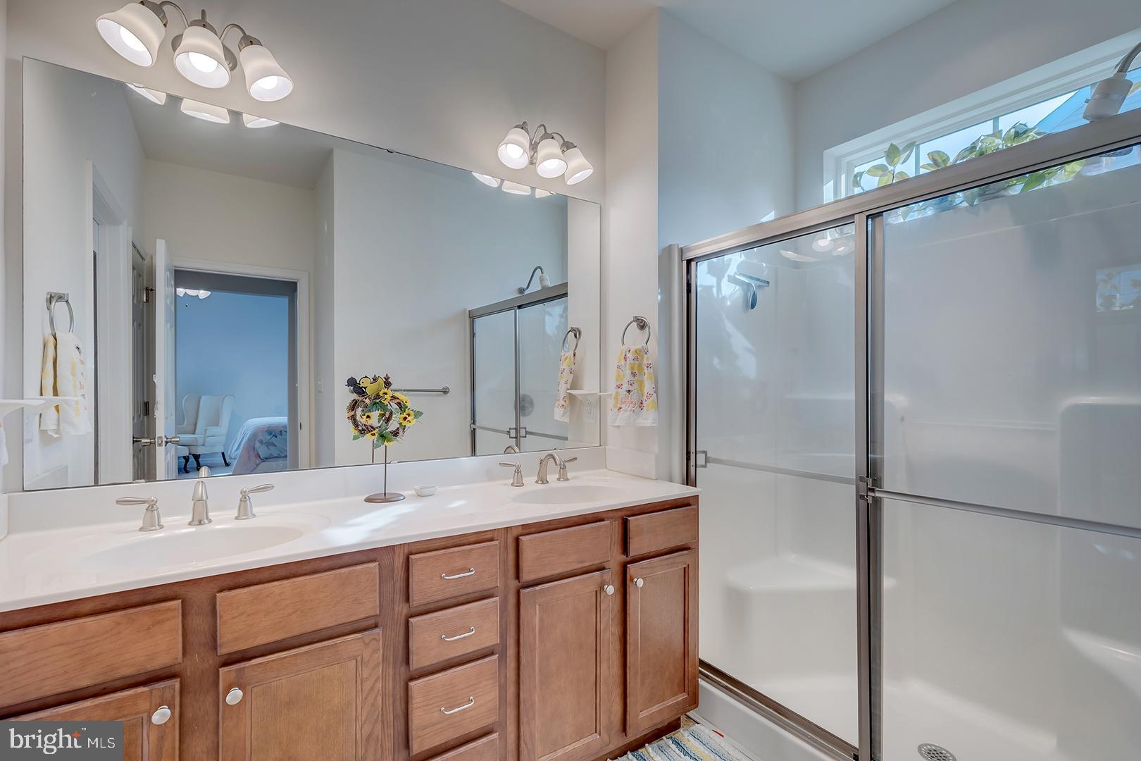 117 Carriage Drive Milton, DE 19968 - Photo 21 of 62 a bathroom with a double vanity sink mirror and shower