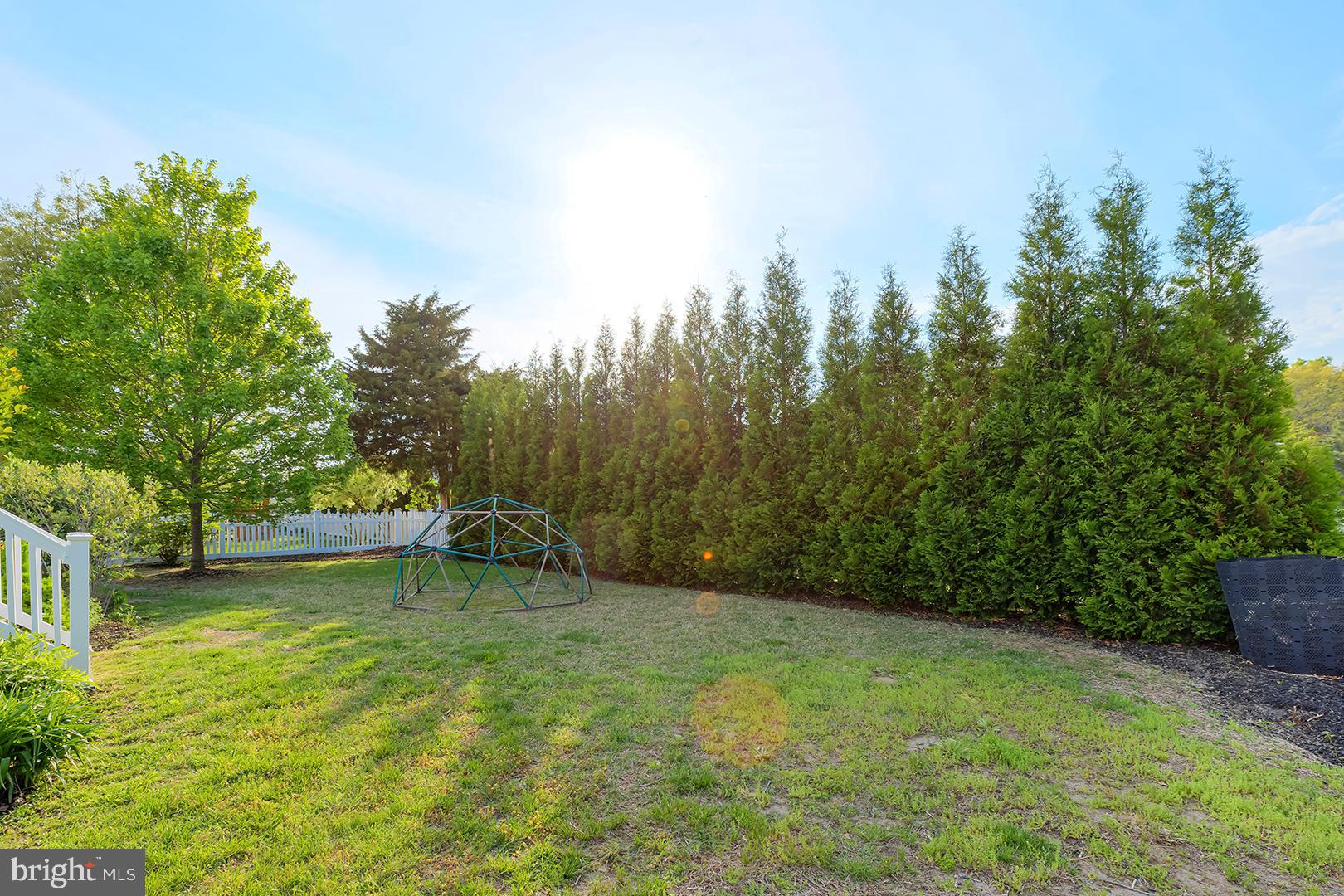 117 Carriage Drive Milton, DE 19968 - Photo 39 of 62 a view of a backyard with a garden and entertaining space