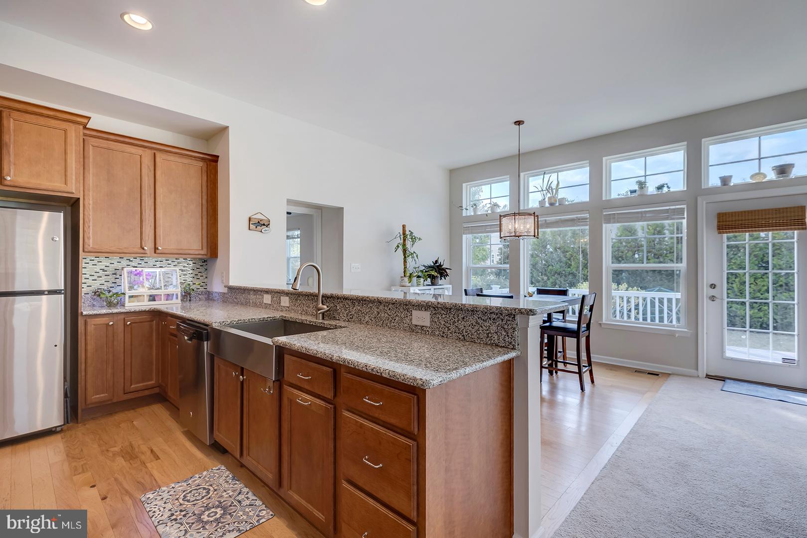 117 Carriage Drive Milton, DE 19968 - Photo 4 of 62