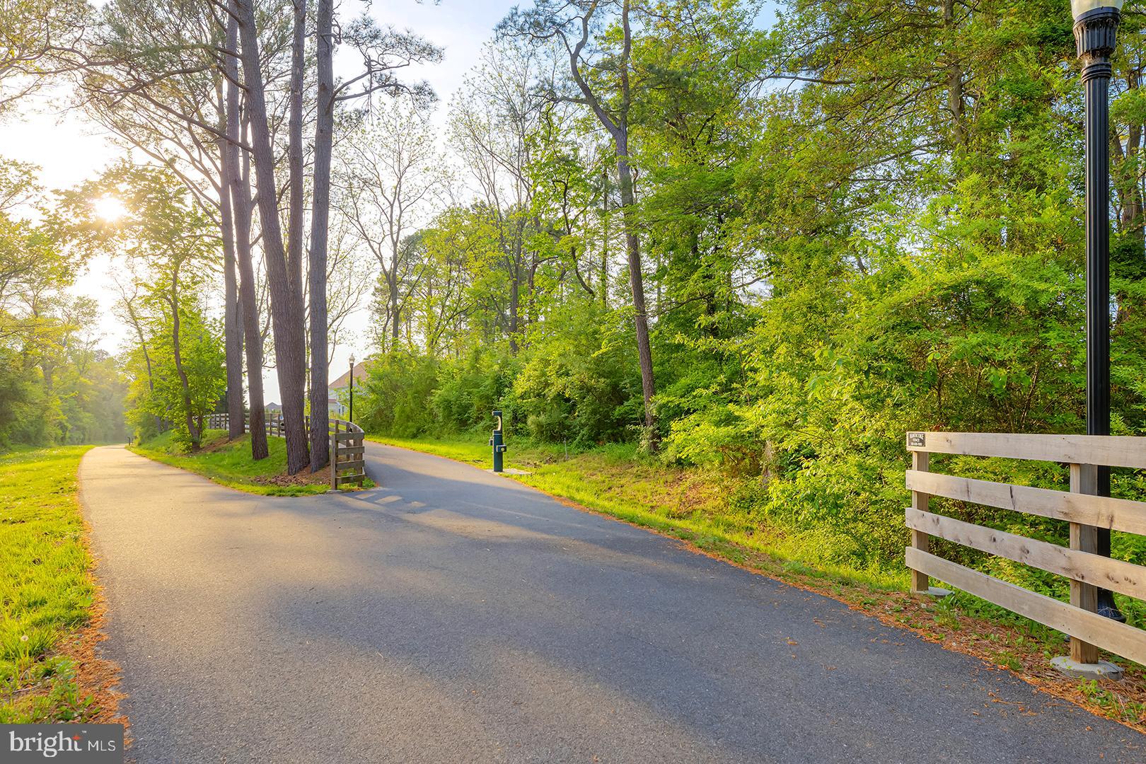 117 Carriage Drive Milton, DE 19968 - Photo 48 of 62 a view of a road with a yard and large trees
