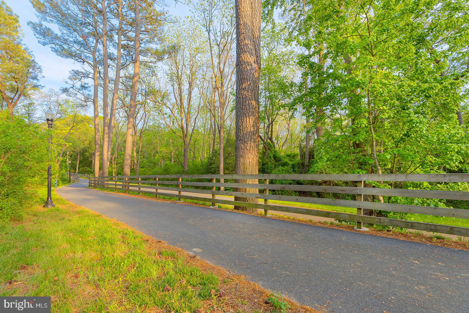 117 Carriage Drive Milton, DE 19968 - Photo 50 of 62 a view of swimming pool with large trees and lawn chairs