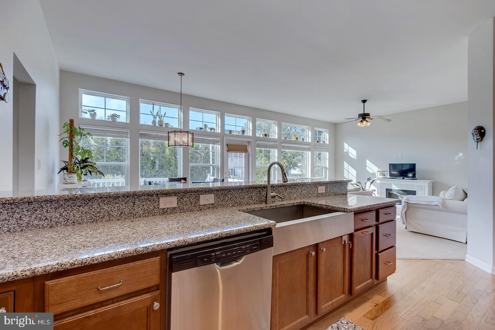 117 Carriage Drive Milton, DE 19968 - Photo 5 of 62 a kitchen with a sink and a counter top space