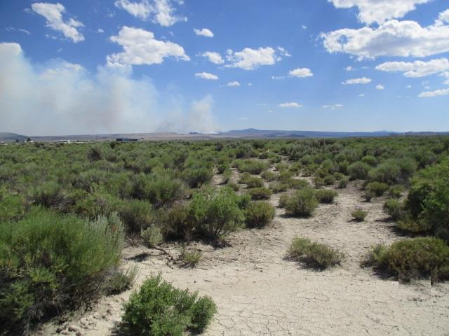 1100 Off S Oil Dri (apn 3075) Road Chiloquin, OR 97624 - Photo 2 of 9 From in front of propety
