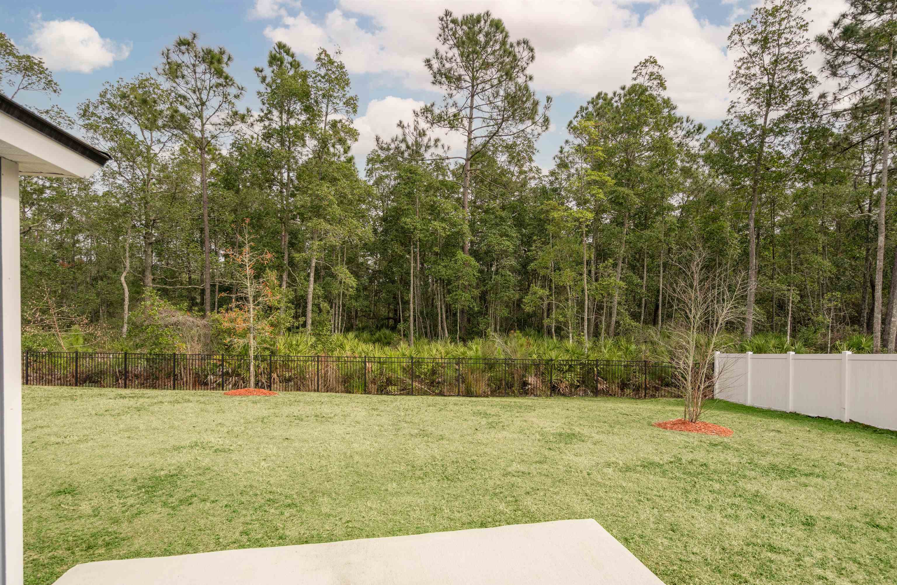 154 Falcon Ridge Road St. Augustine, FL 32084 - Photo 27 of 38 a view of backyard with green space