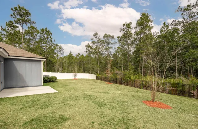 a view of backyard with green space