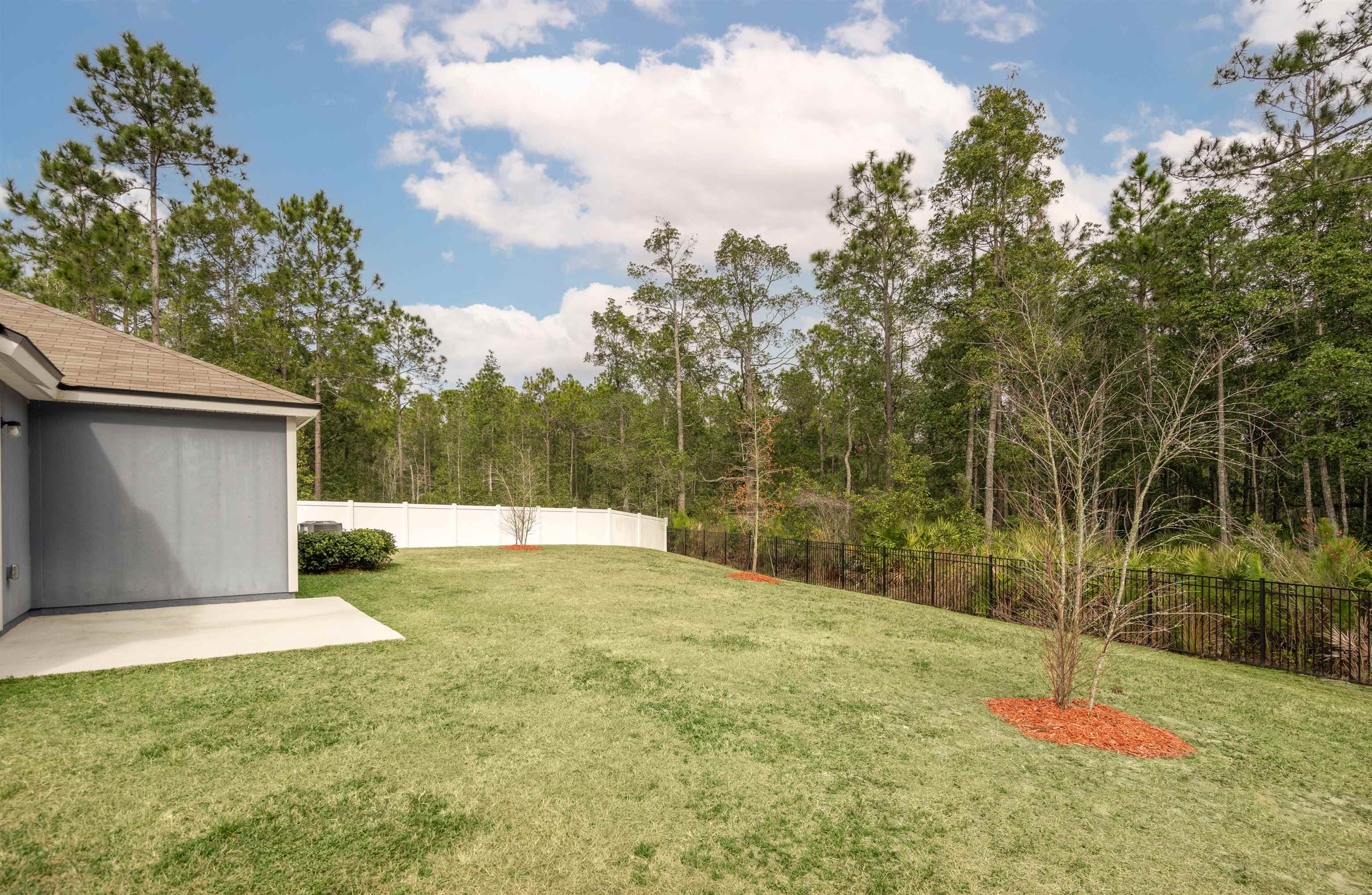 154 Falcon Ridge Road St. Augustine, FL 32084 - Photo 28 of 38 a view of a backyard
