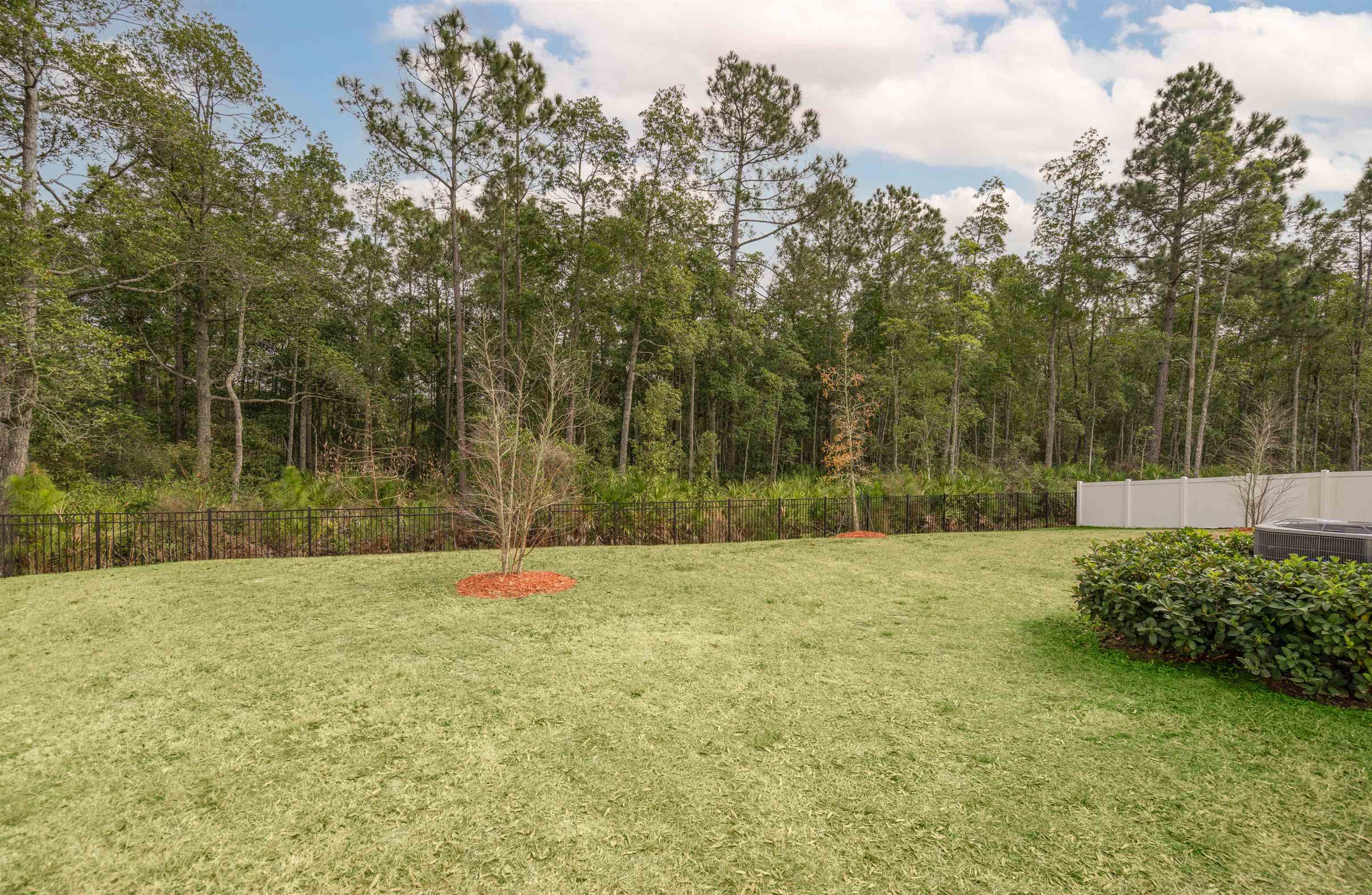 154 Falcon Ridge Road St. Augustine, FL 32084 - Photo 29 of 38 a view of outdoor space with deck and yard