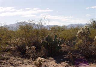 9790 East Andrada Road, Unit 2AC Vail, AZ 85641 - Photo 3 of 9