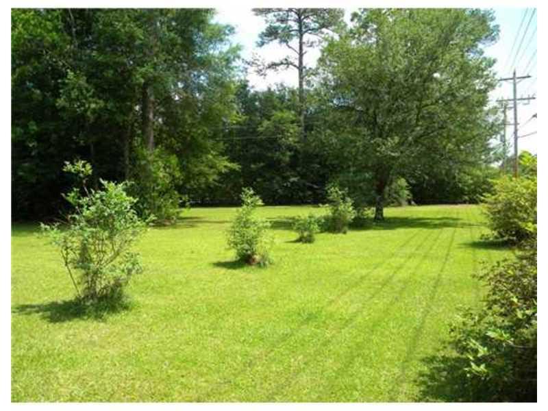 12519 Bennett Bridge Road Folsom, LA 70437 - Photo 12 of 15