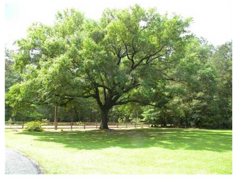 12519 Bennett Bridge Road Folsom, LA 70437 - Photo 14 of 15