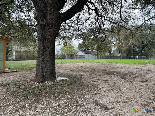 a view of a yard with a tree