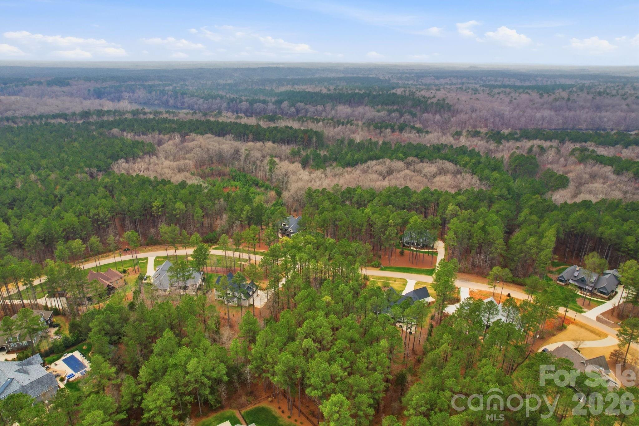 6188 Chimney Bluff Road Lancaster, SC 29720 - Photo 9 of 15