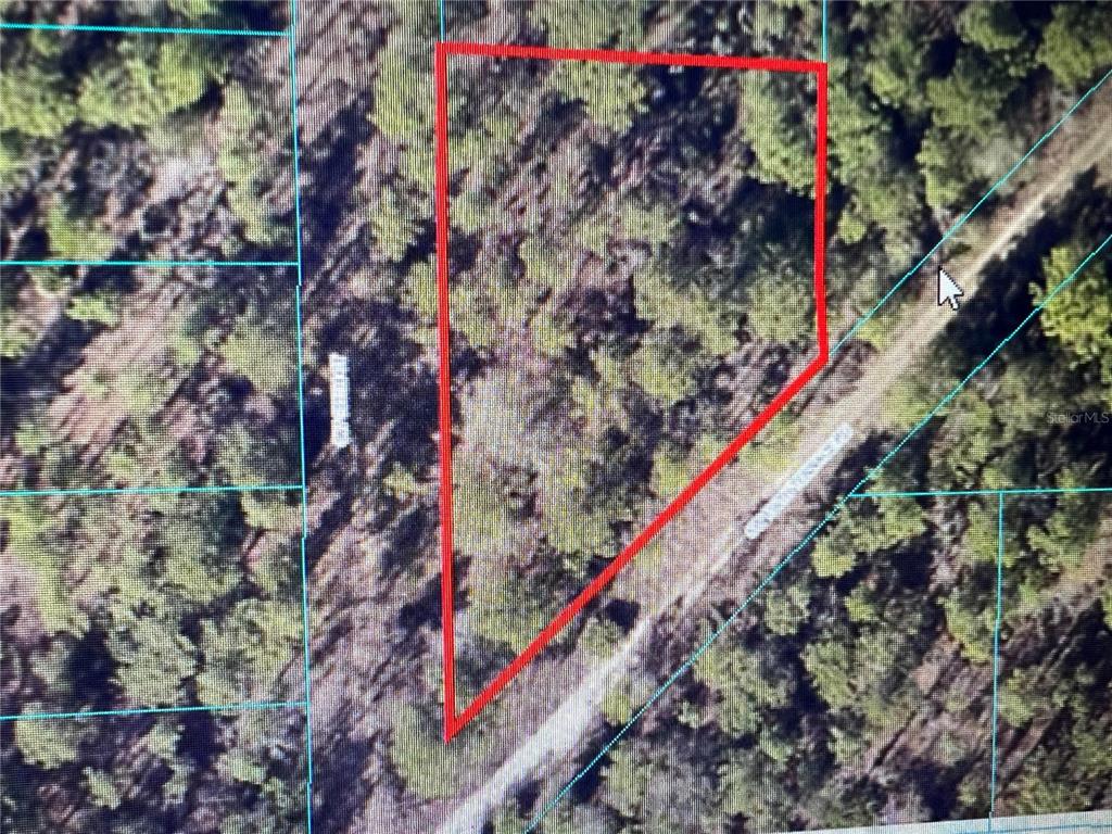 a close up of a tree