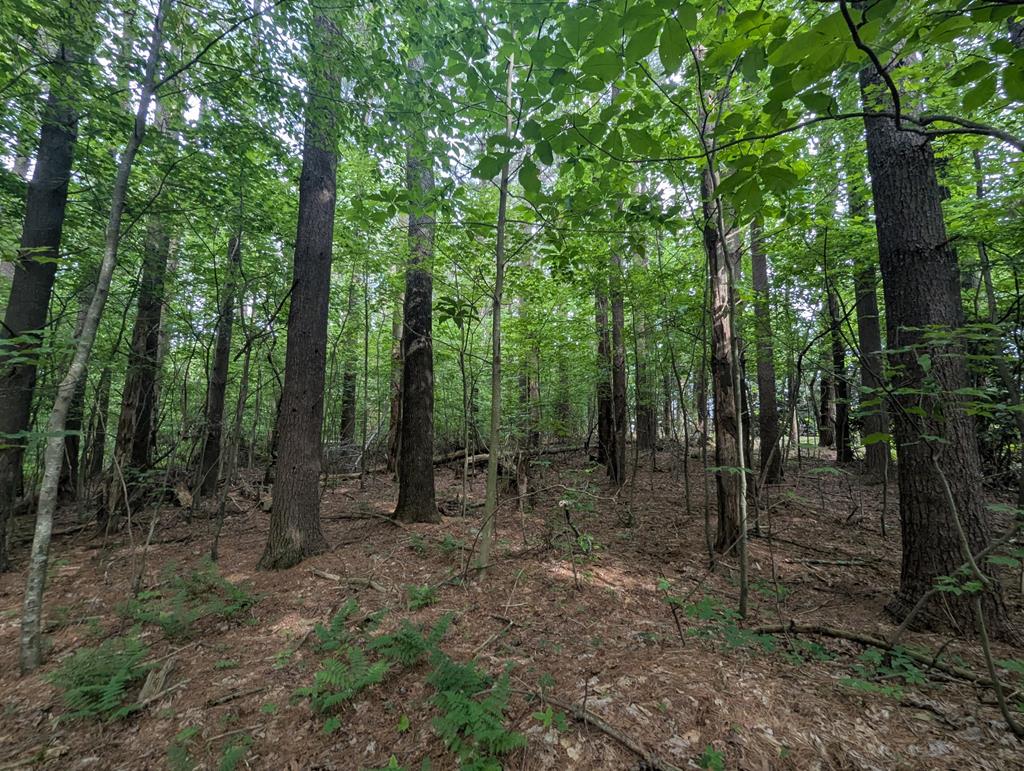 0 Red Rough Road, Unit 21 Meadows Of Dan, VA 24120 - Photo 7 of 10 Gallery Image 7