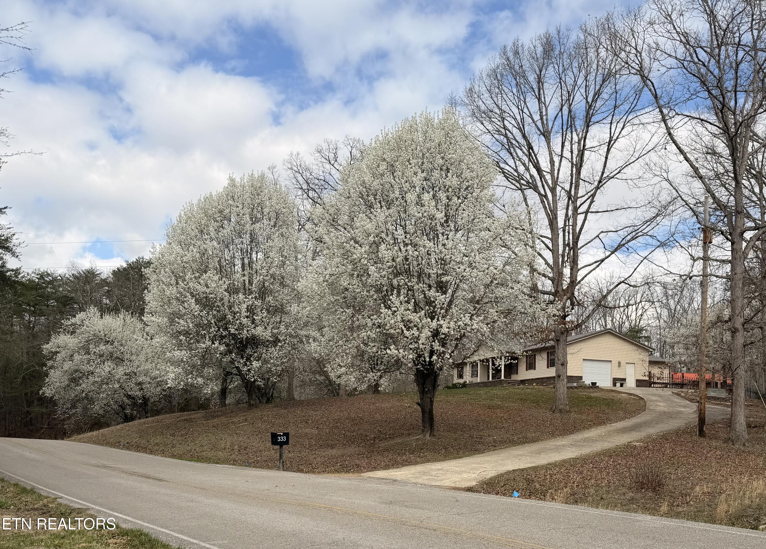 333 Willow Springs Road Ten Mile, TN 37880 - Photo 3 of 39 Spring time!