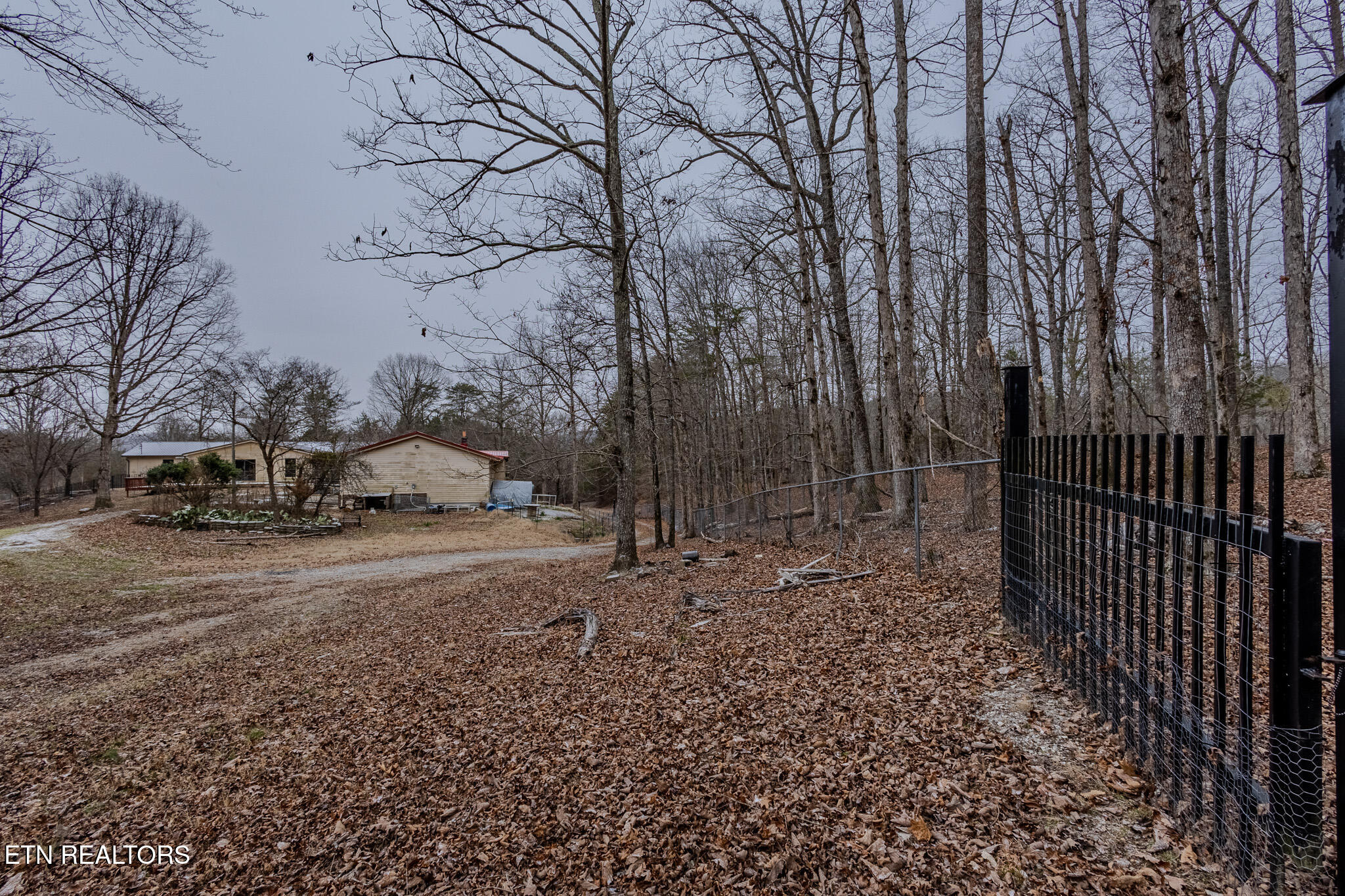 333 Willow Springs Road Ten Mile, TN 37880 - Photo 9 of 37 Land