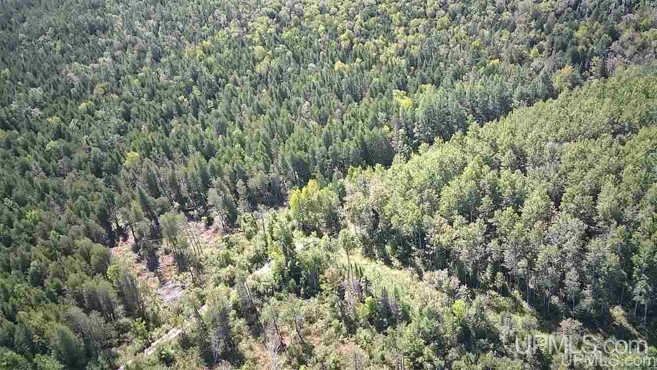 Tbd Off Of Co Rd 557, Unit 1 Arnold, MI 49819 - Photo 12 of 16